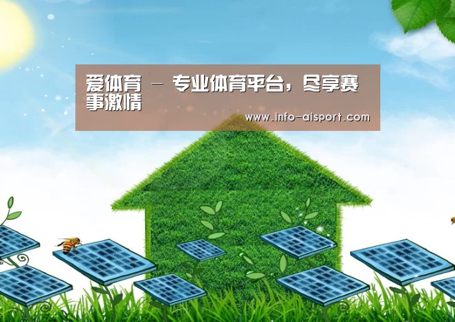 爱体育公司