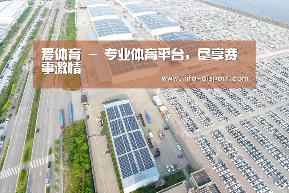 案例展示一