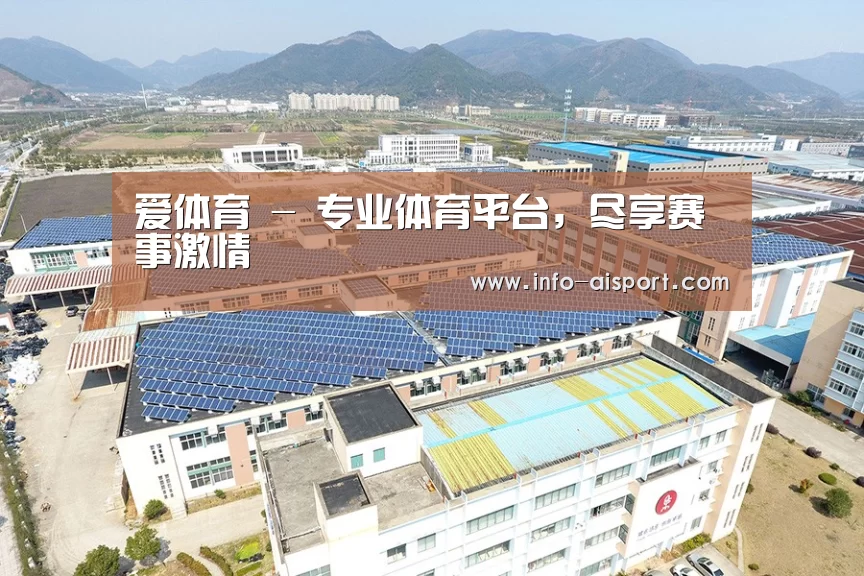 案例展示三